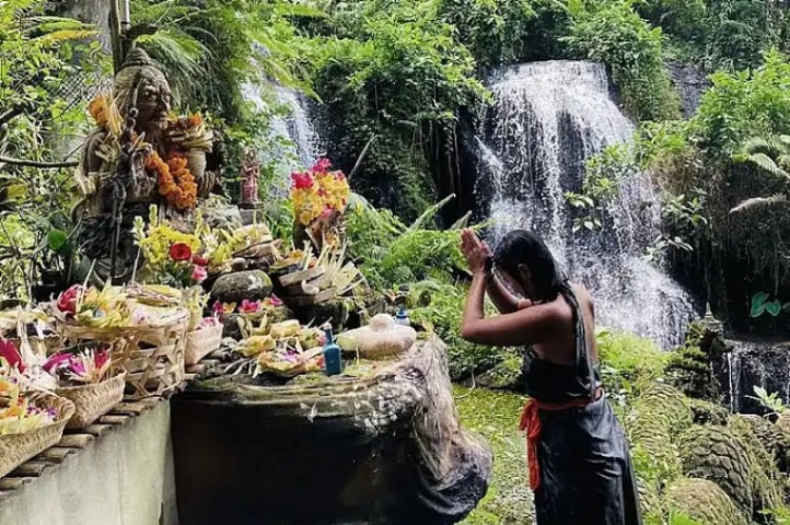 Bali Jungle Trekking - Image 4