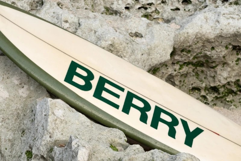 Berry Salad Bar - Image 6