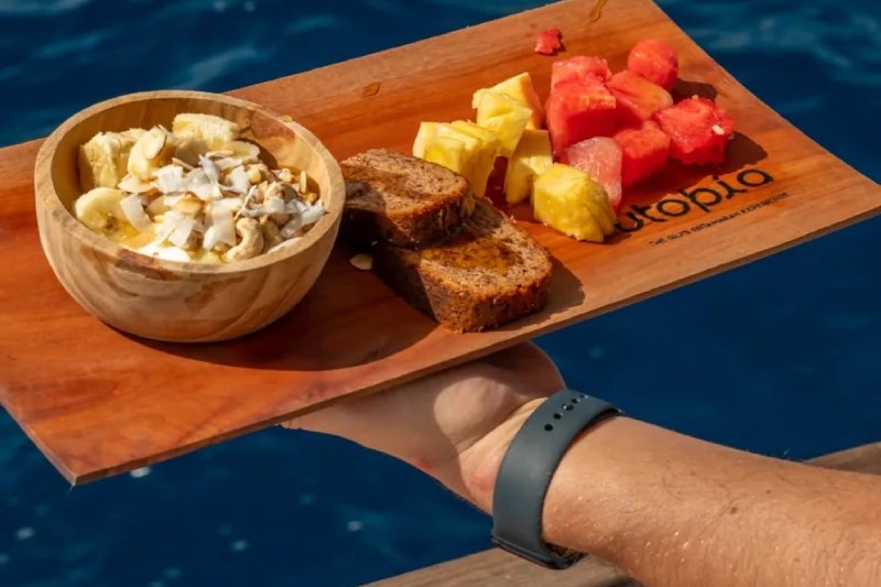 Utopia Catamaran - Image 2