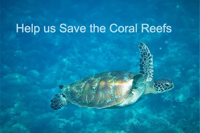 SOS Escape Rooms Sanur - Image 4