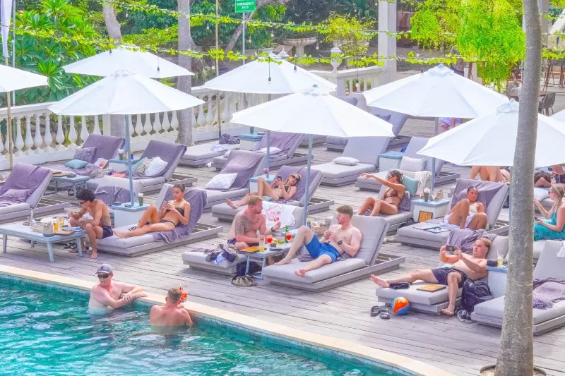 Canna Bali - Image 2