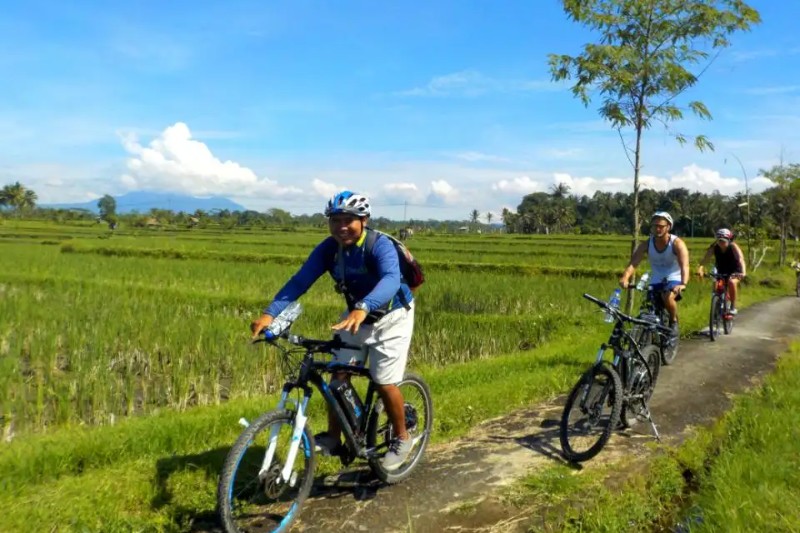 eBikes Bali