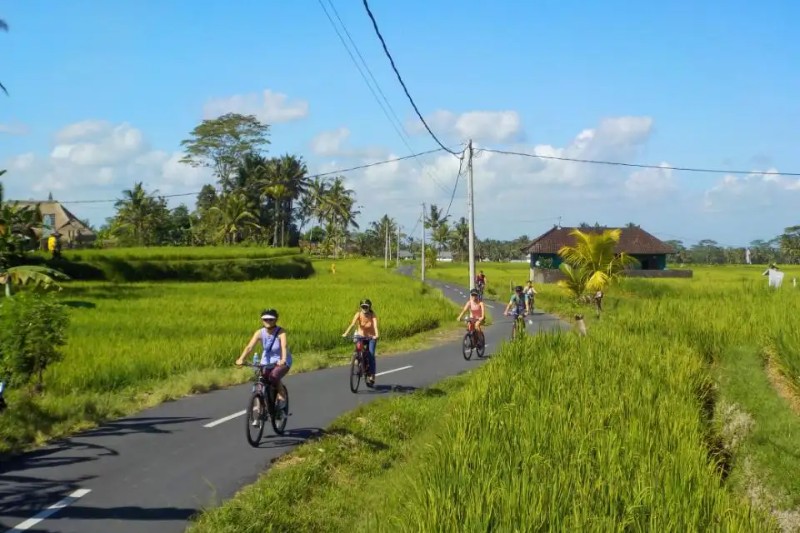 eBikes Bali - Image 3