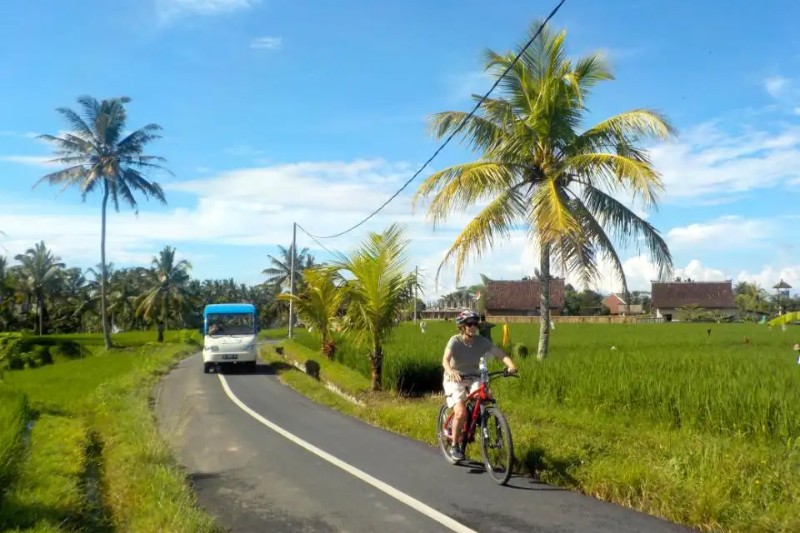 eBikes Bali - Image 5