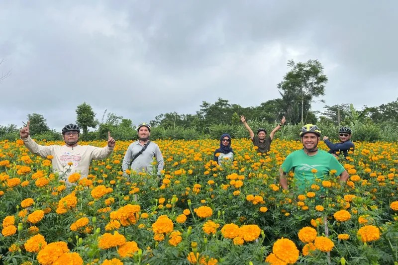 Greenbike Adventure - Image 2