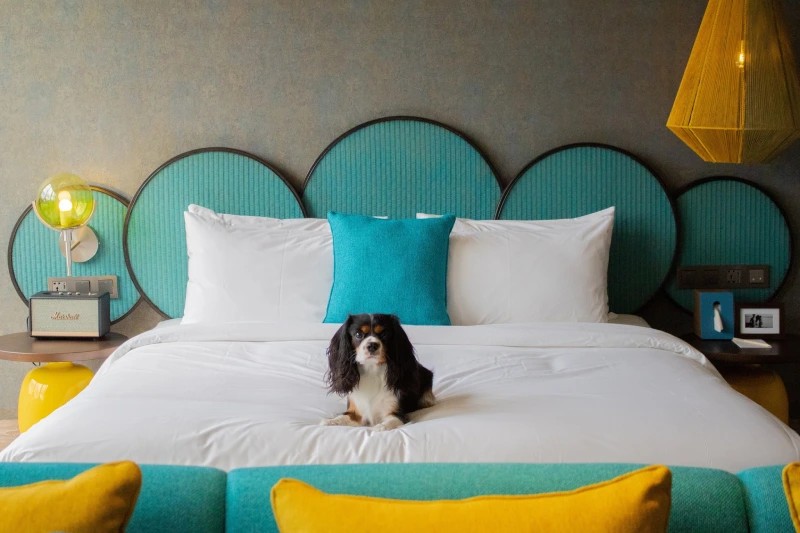 Mamaka by Ovolo - Image 4