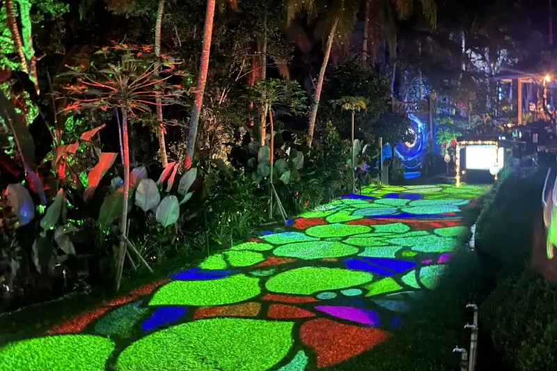 Hikaria - Immersive Night Walk