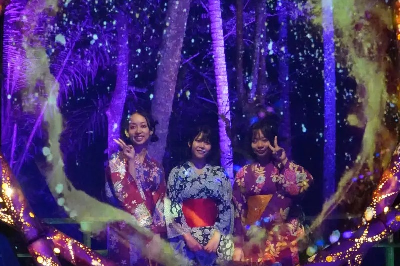 Hikaria - Immersive Night Walk - Image 3