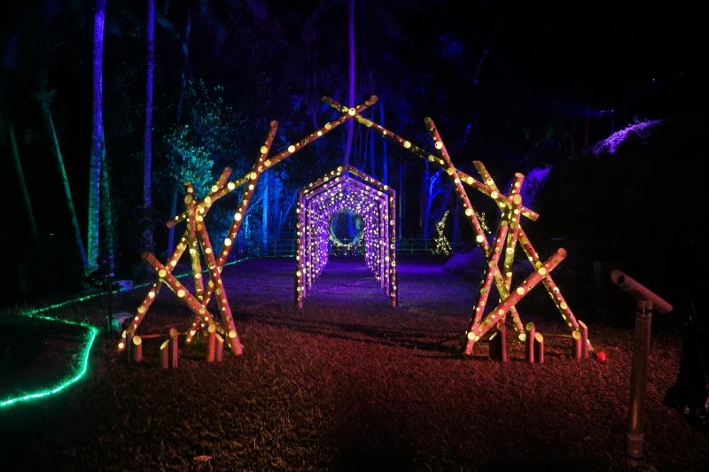 Hikaria - Immersive Night Walk - Image 5