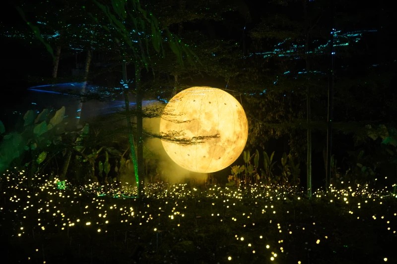 Hikaria - Immersive Night Walk - Image 6