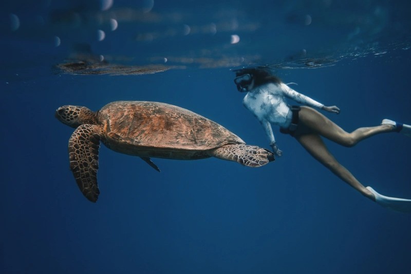 UTOPIA Catamaran · Nusa Lembongan - Image 4