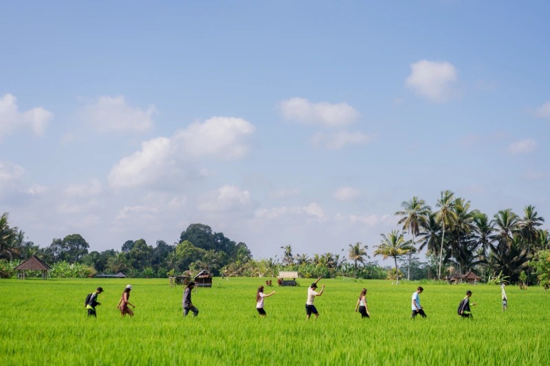 Surya Bintang Adventure - Image 2