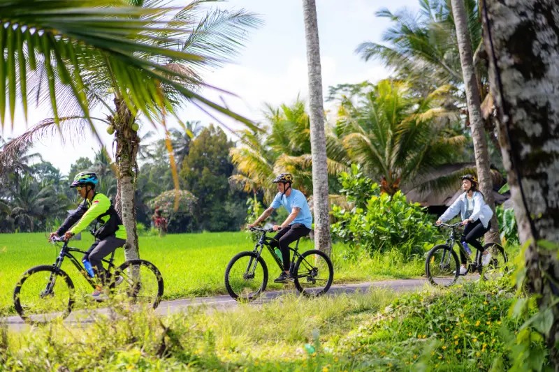 Surya Bintang Adventure - Image 3