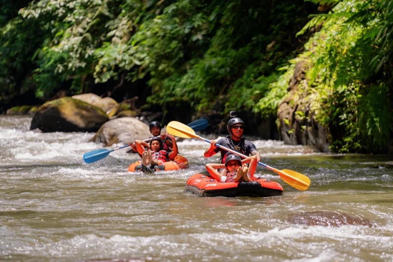 Surya Bintang Adventure - Image 4