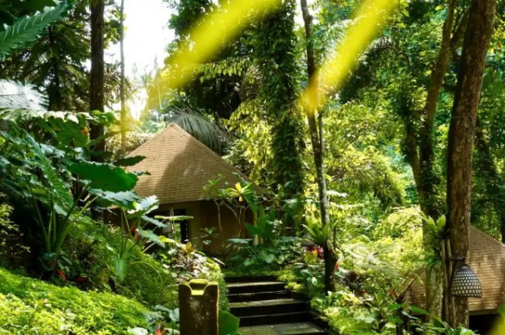 The Lokha Ubud Resort Villas and Spa - Image 3