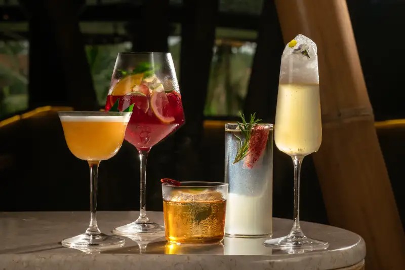 Terra Verte Ubud - Image 5